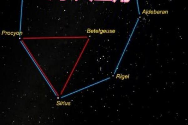 冬天能看到的星座