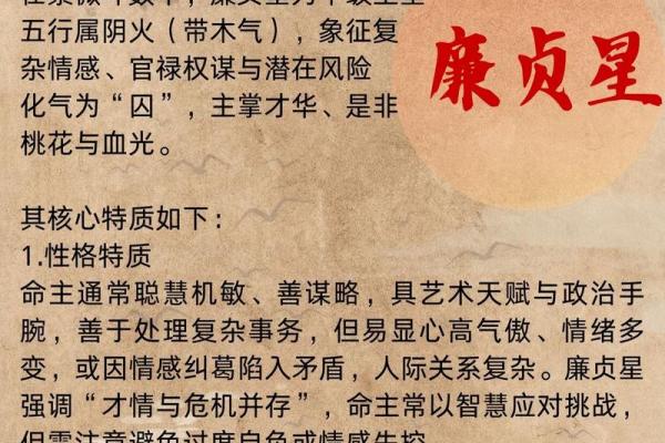粤启明紫薇斗数