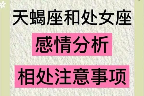 处女座和天蝎座能配对成一对吗男生