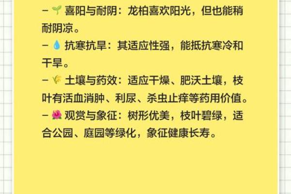 四季如春屋前种什么树最旺风水讲究