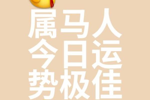 小马乖运势,呦呦星座运势