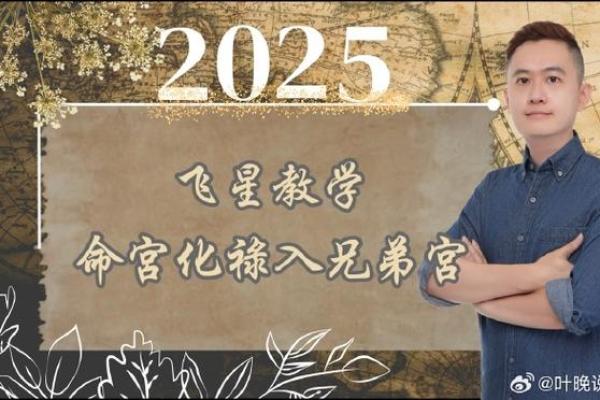 紫薇斗数视频
