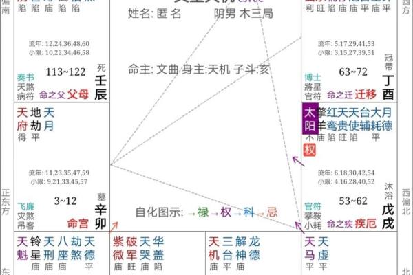 紫薇斗数命理八字占卜