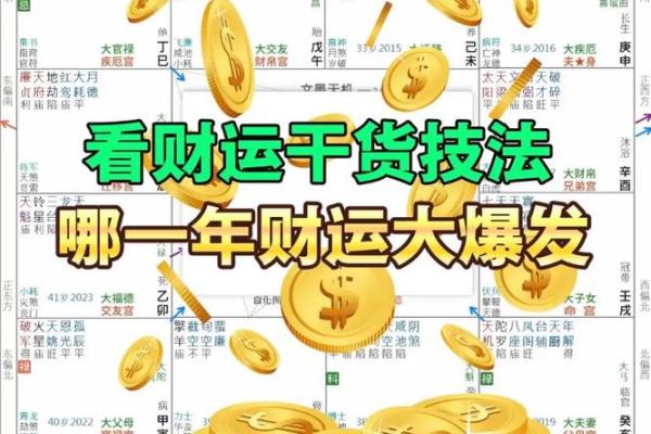紫薇斗数流年财运1