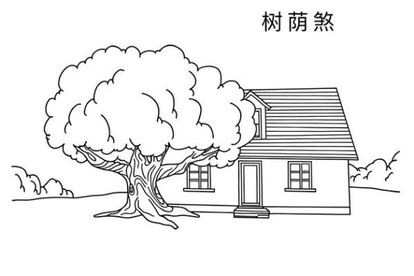 屋宅风水树