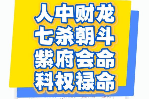 紫薇斗数领导