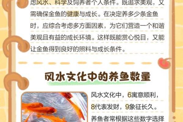 家庭中养鱼，要注意的风水详解