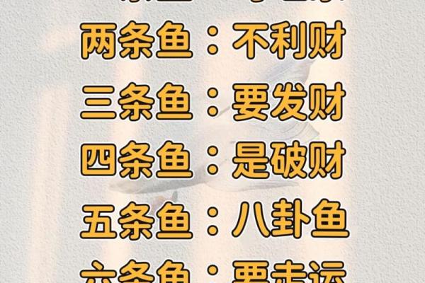 家庭中养鱼，要注意的风水详解