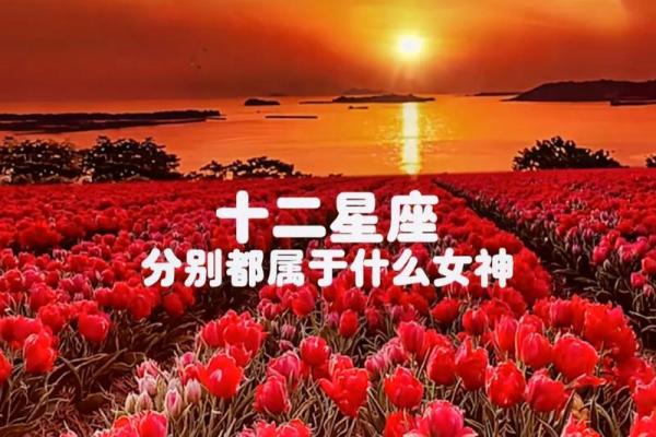 十二星座气质女神排行榜,谁是第一名？