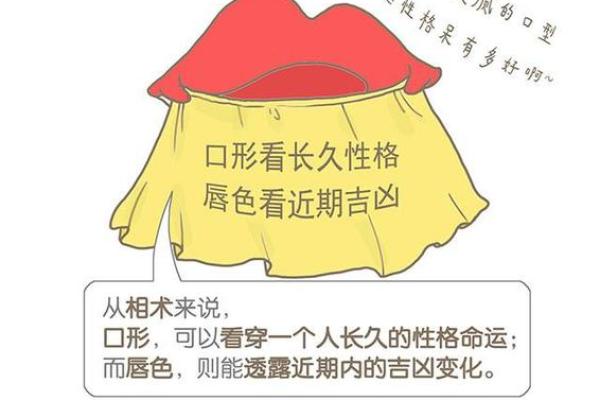 下嘴唇不停的跳动吉凶测试