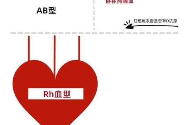 啥血型老婆会被老公冷落