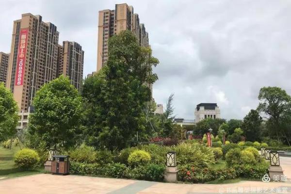 湛江买房子风水好吗贴吧