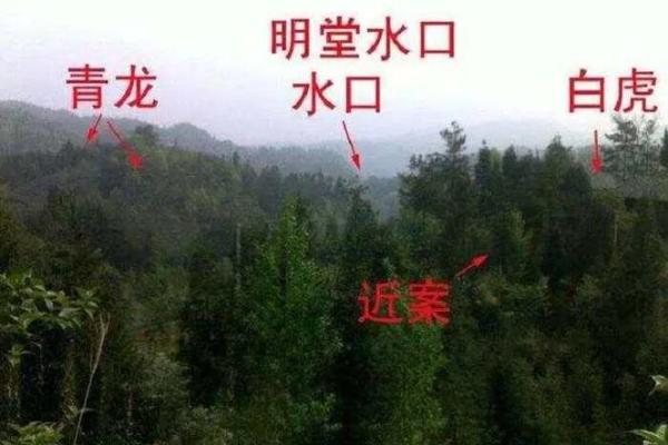 阴宅风水不好如何去调整旺财运