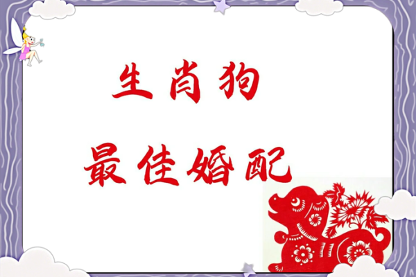 生肖虎配对