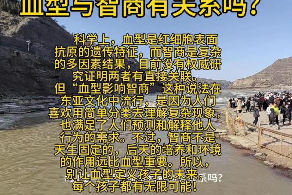 智商排行榜的4大血型有哪些呢