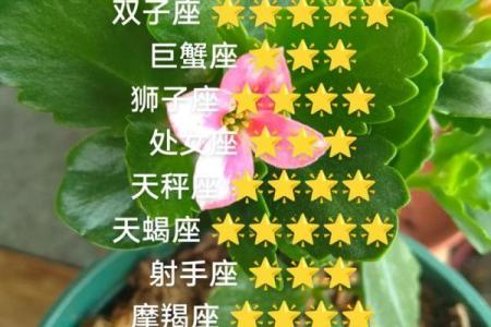 白羊座今日紫微黄历运势