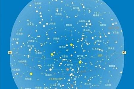 冬天能看到的星座