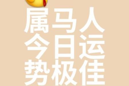 小马乖运势,呦呦星座运势