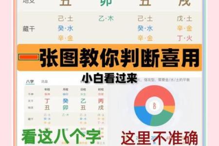 八字喜用神最恰当的优化算法 八字喜用神咋算
