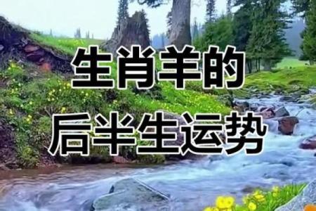 属羊出生日命运最好 五大吉日运势上乘