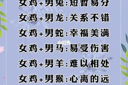 生肖配对属鼠属鸡的婚姻怎么样