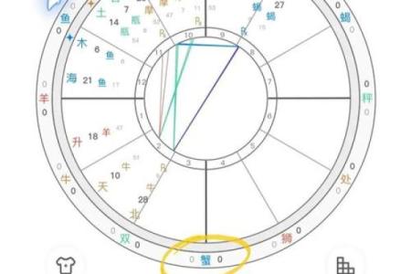 最强大的四个上升星座 上升星座最好的星座