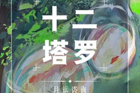 塔罗测试：十二月财运？
