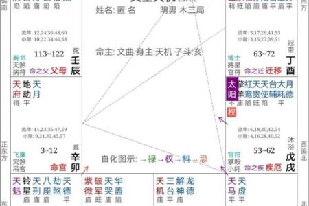紫薇斗数命理八字占卜