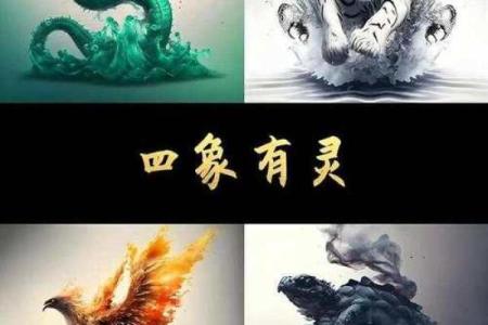 风水之图文并茂，玄机一看就懂