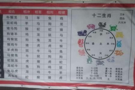 生肖配对 十二生肖最佳配对表格