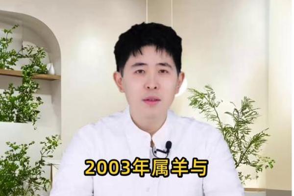 属马女性配对大揭秘：羊男VS狗男，成功婚姻密码在哪？