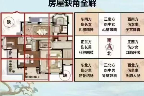 水命人的卧室方位要怎么摆放？水命人的性格特点如何？