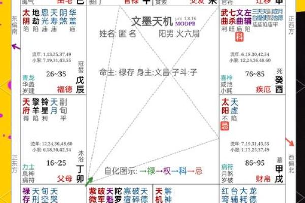 紫薇斗数命宫原理