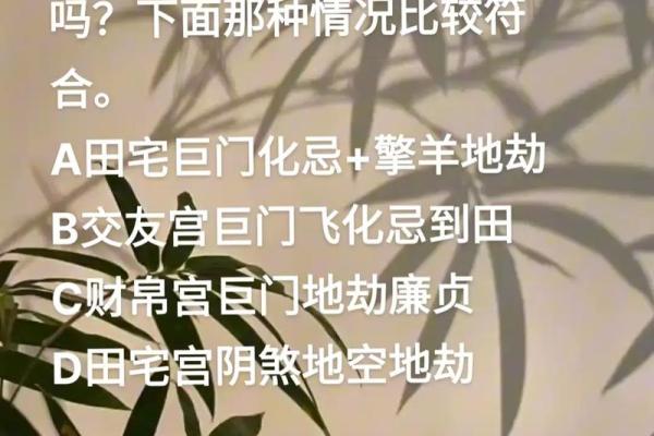 紫薇斗数子时按亥时