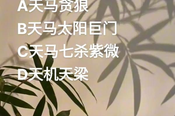 紫薇斗数子时按亥时