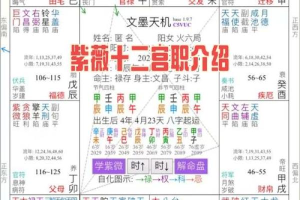 紫微斗数之夫妻宫在丑宫，是什么意思？