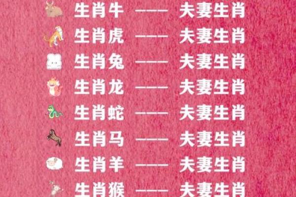 生肖配对什么生肖最好 最好的生肖组合