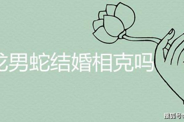 婚姻配对属龙和属蛇姻缘怎么样