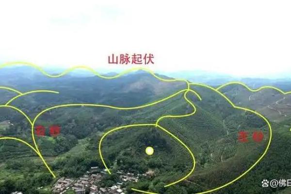 祖坟风水好坏怎么看