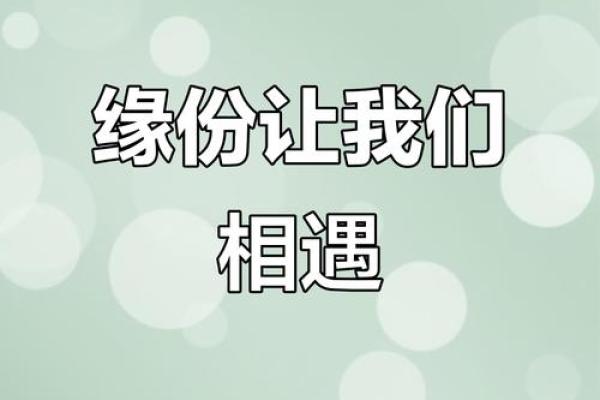 二分之一缘分测试智商游戏