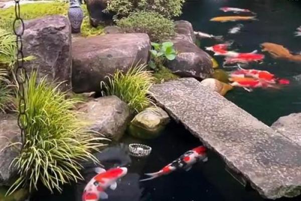 庭院风水的禁忌有哪些呢？