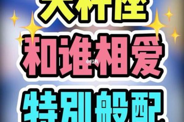 天秤座对哪个星座最痴迷呢