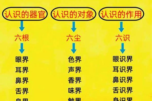 有大出息的人八字特征,思想深度高的八字特征