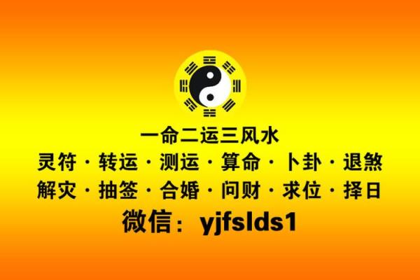 大家我算命网