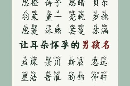 2019年6月19号卯时出生的男孩如何起名姓名