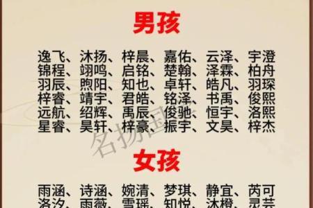 2019年3月30号丑时出生的男孩如何起名姓名