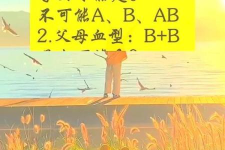血型看你的最佳工作选择
