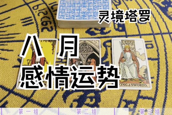 塔罗测试：八月你该如何与你恋人相处