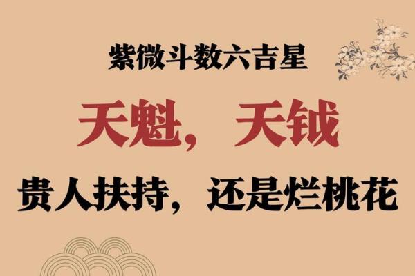 紫薇斗数怎么安天魁