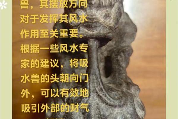 风水宝地图片_风水宝地指什么动物